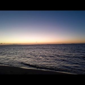 Meet your Posher, Rosa